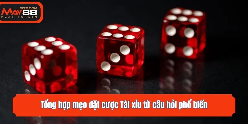 Tổng hợp mẹo đặt cược Tài xỉu từ câu hỏi phổ biến